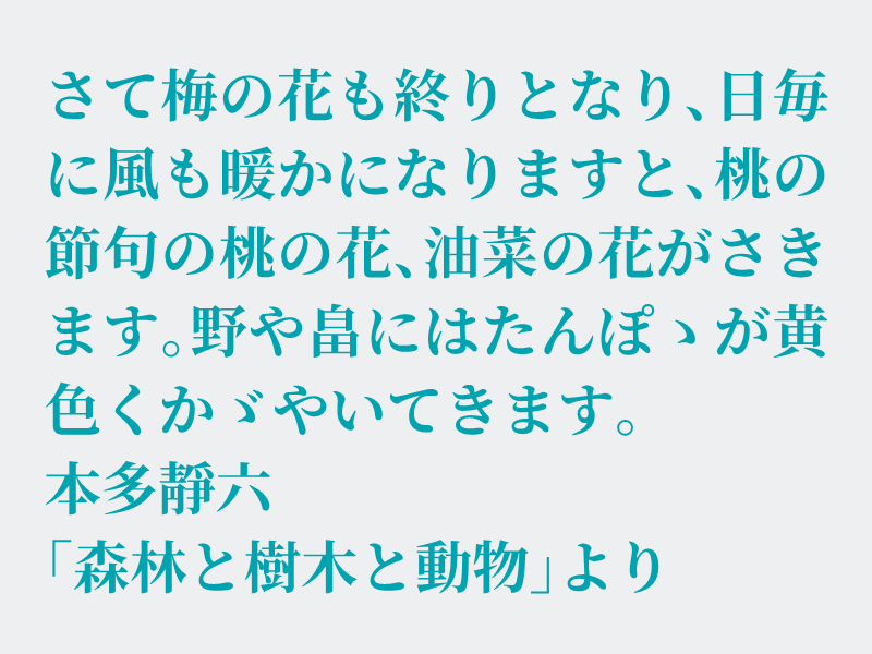 #空想書写
お題をありがとうございます。
💧エルバン ブルーアズール  