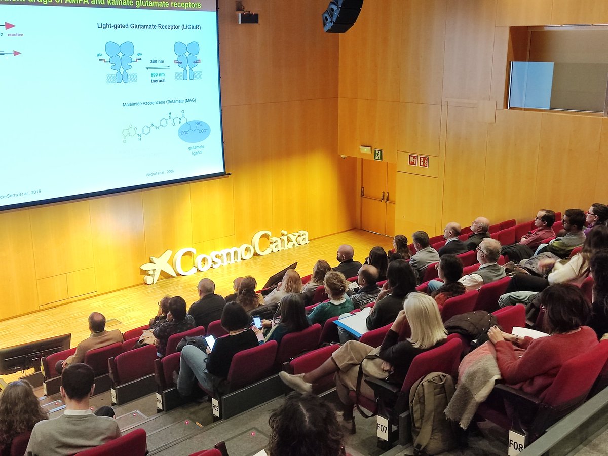 IQAC_CSIC's tweet photo. ๐ก#PhotoHeart / It's time to talk about #Photopharmacology: changing the course of treatment of heart and neural diseases.
๐ฌ#LightSwitchingMolecules https://t.co/FFqip6LMeW