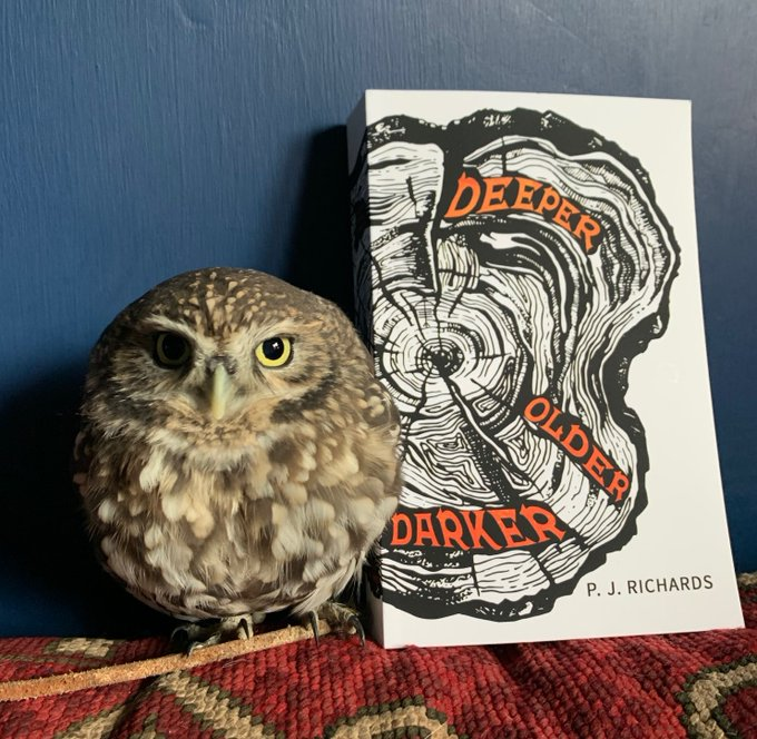 P_J_Richards's tweet photo. 📚🎁#BookGiveaway🎁📚
🏹Win a signed copy of folkloric-fantasy #DeeperOlderDarker featuring a unique hand-drawn roundel of Glastonbury Tor on the title page.
🍀Like + Follow + Retweet to enter. Closes 5/3/23  6pm UK
🦉Winner will be chosen by Pyewackett the owl.
#FaustianFriday https://t.co/UjkZ0Ugqhm