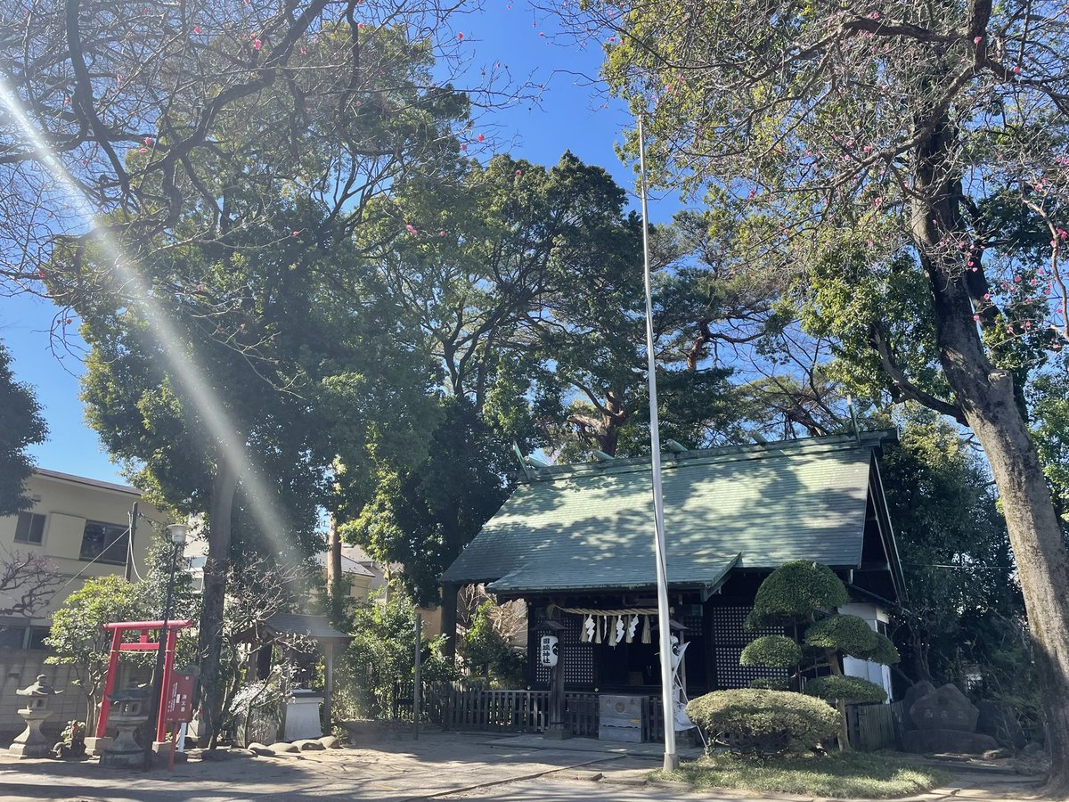 hamasan_new's tweet photo. 田端神社（杉並区）

　室町中期、品川氏の家臣による創建と伝わります⛩上杉禅秀の乱で没落した主家を離れ帰農した地なのでしょう👨‍🌾🌾
　荻窪駅から歩いて二〇分…大きな木々に囲まれ清々しい境内で、大きく深呼吸です😊🌳

　お優しい奥様からポップな書体の御朱印を拝領です✍️ チョコレート色🍫 https://t.co/HfE9jQ7sNq