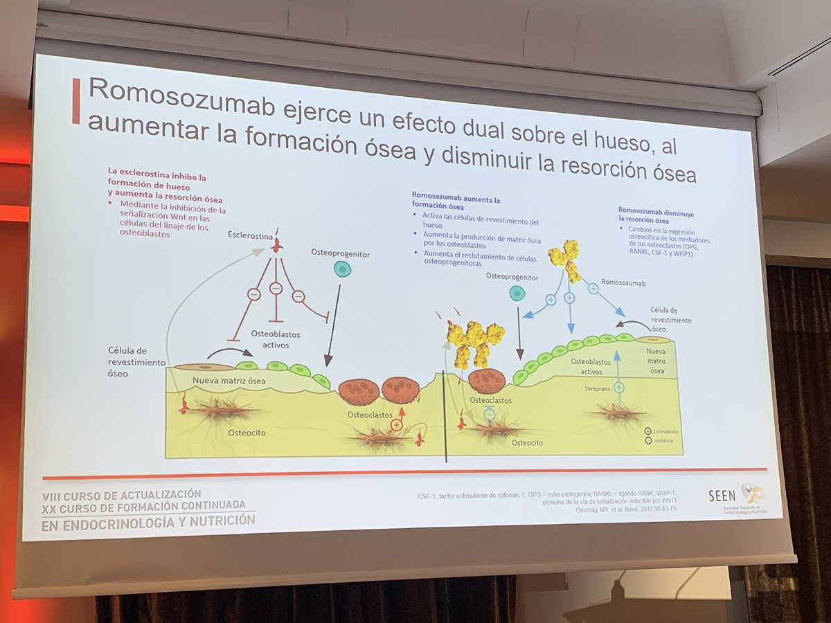 Actualización en el tratamiento de la #osteoporosis
María Cortés

🆕 fármacos 
-Romosozumab 
-Abaloparatida 
-Bifosfonato con formulación gastroresistente 
#cursoSEEN2023
<a href="/sociedadSEEN/">Sociedad SEEN</a> 
<a href="/oseoseen/">GT Metab Óseo SEEN</a>