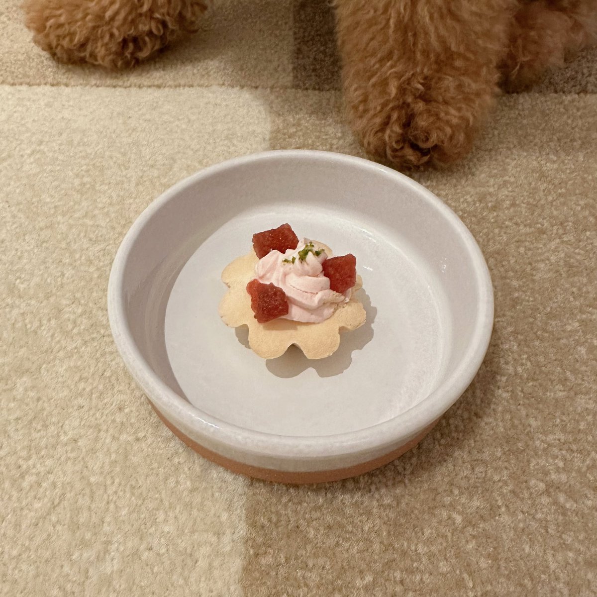 Michelle_e0705's tweet photo. 今日はひな祭り🎎なので
いちごタルトをあげました😊✨ https://t.co/M5lSORpx95