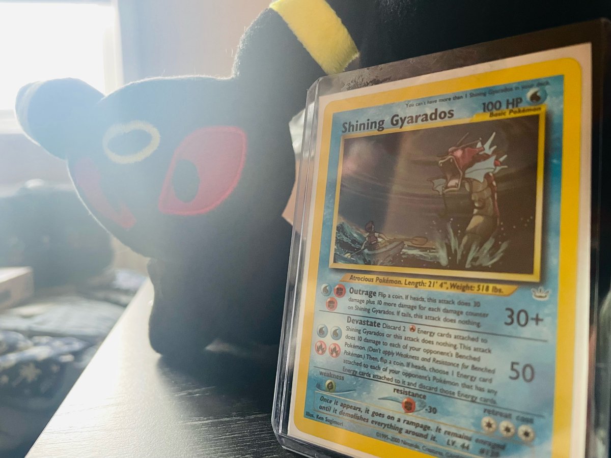 Recently I got back into Pokemon card collecting, finally after 10 years I picked up Shining Gyarados for the Neo Revelation set. #pokemontcg #pokemoncards #neorevelation #collector