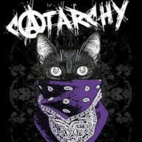 KatKatisha's tweet photo. It’s #catarchy in the #UK #COVID #Britastrophe https://t.co/zusZzyzMgx