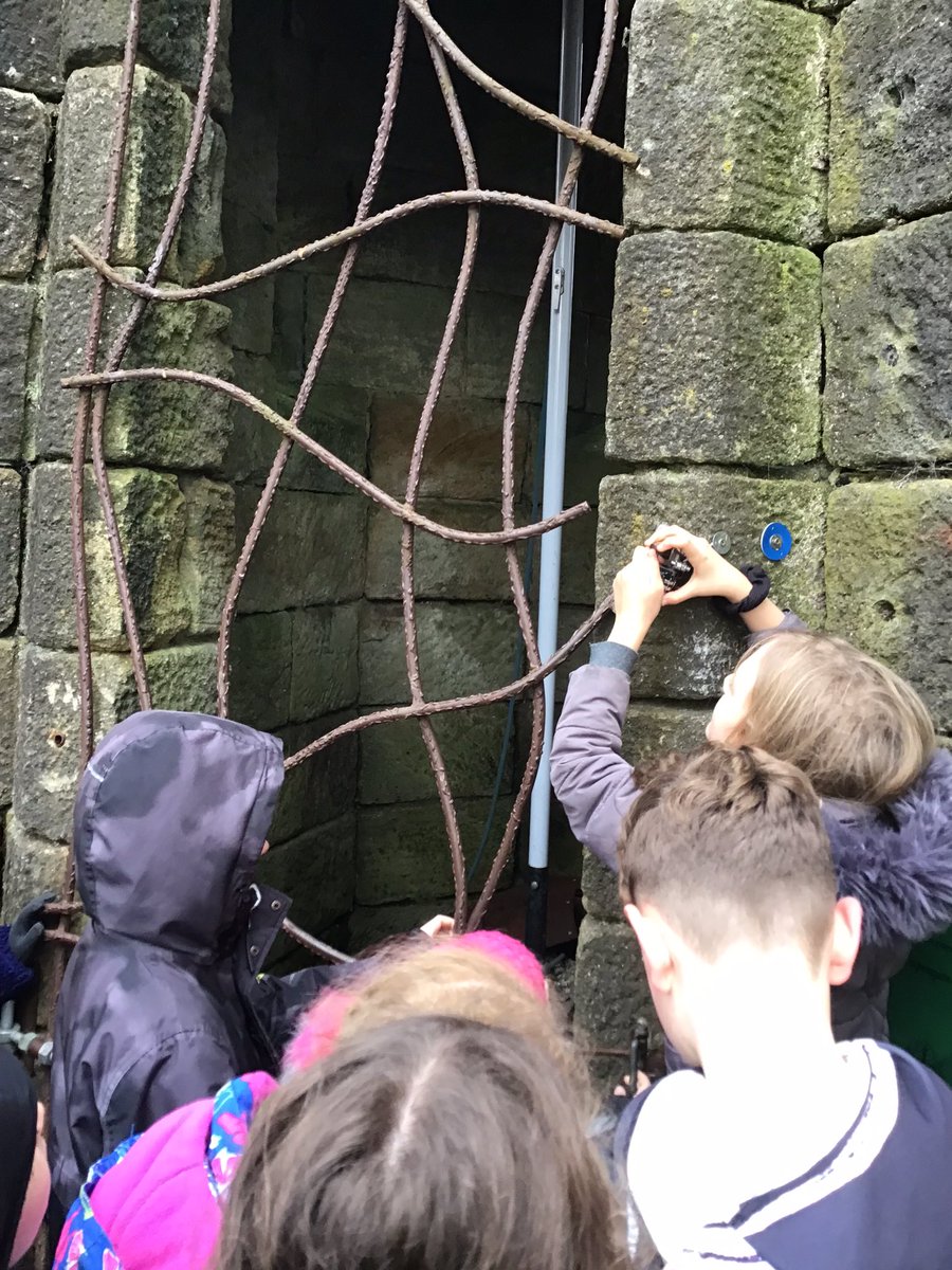 Class6DPS tweet media