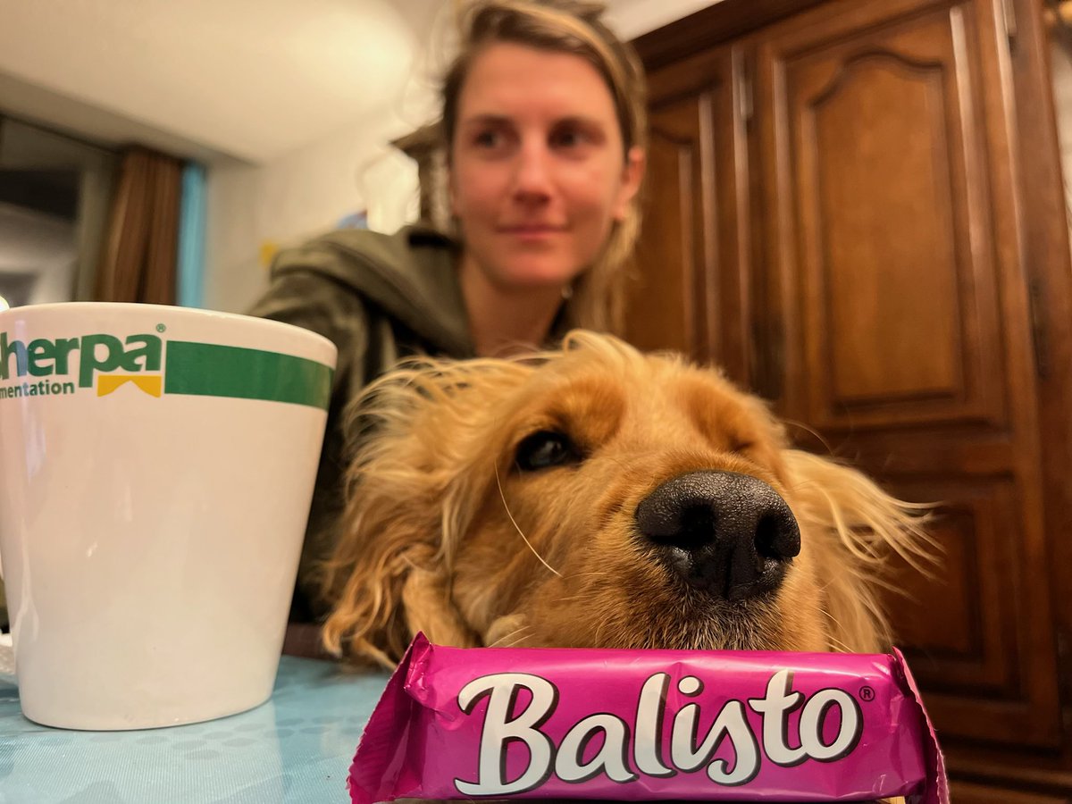 AliceDonckele's tweet photo. Résumé des vacances à la montagne… 🐾🏔️🍫☕️💤
#chienepuise #maitresseaussi #retourenenfance #regression #teamtisane #sherpa #balisto #isola2000 https://t.co/cdtWTIxGyB