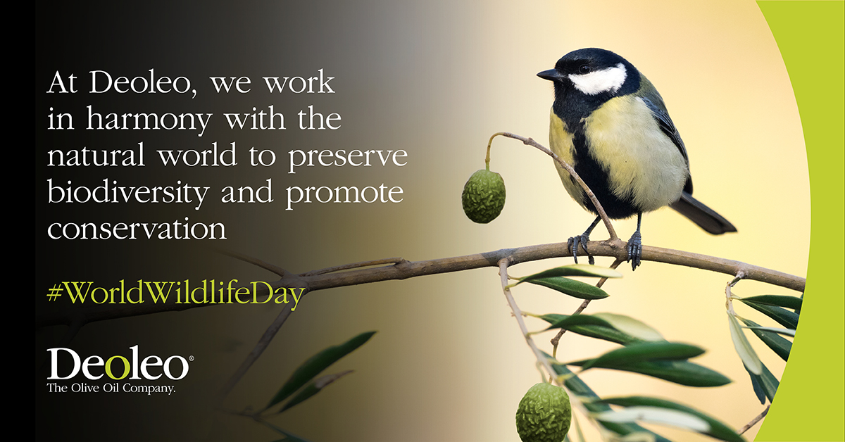 On #WorldWildlifeDay we want to honour the people who are making a difference. At Deoleo, we work in harmony with the natural world to preserve the biodiversity in the olive groves.

#PartnershipsForWildlifeConservation #SustainabilityProtocol #Deoleo