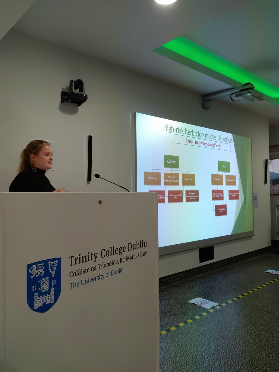 TCD ZoBo Symposium tweet media