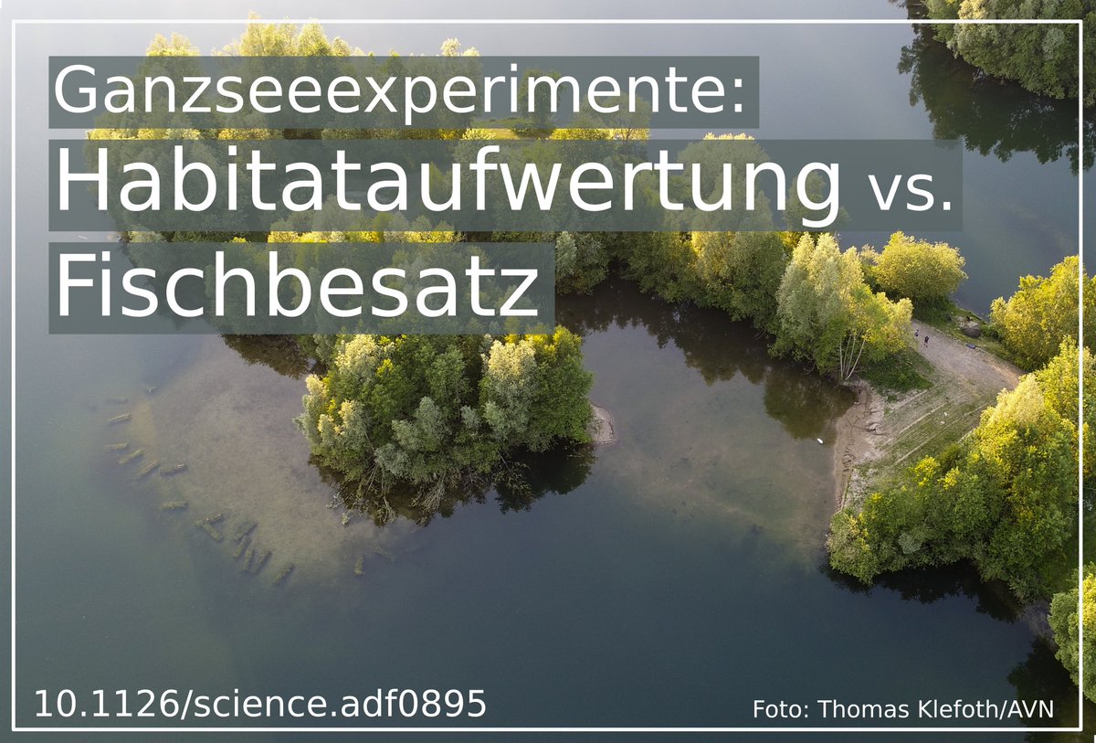 Johannes Radinger 🐟 tweet media