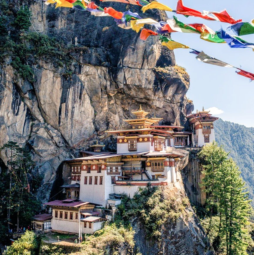 Billy F. K. Howorth tweet media