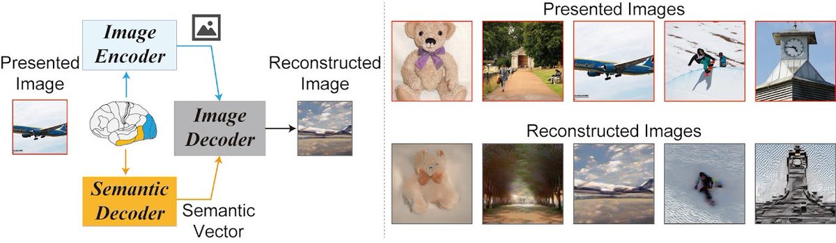 Madre mía de comprobarse esto es un bombazo 🤯. No puedo creerlo todavía... ¿será cierto? 

🔥🔥🔥 De pensamiento a imagen 🔥🔥🔥

Sí, has leído bien. Piensas en una imagen y una IA la genera a partir de tu actividad cerebral.

Link y detalles 🧵👇