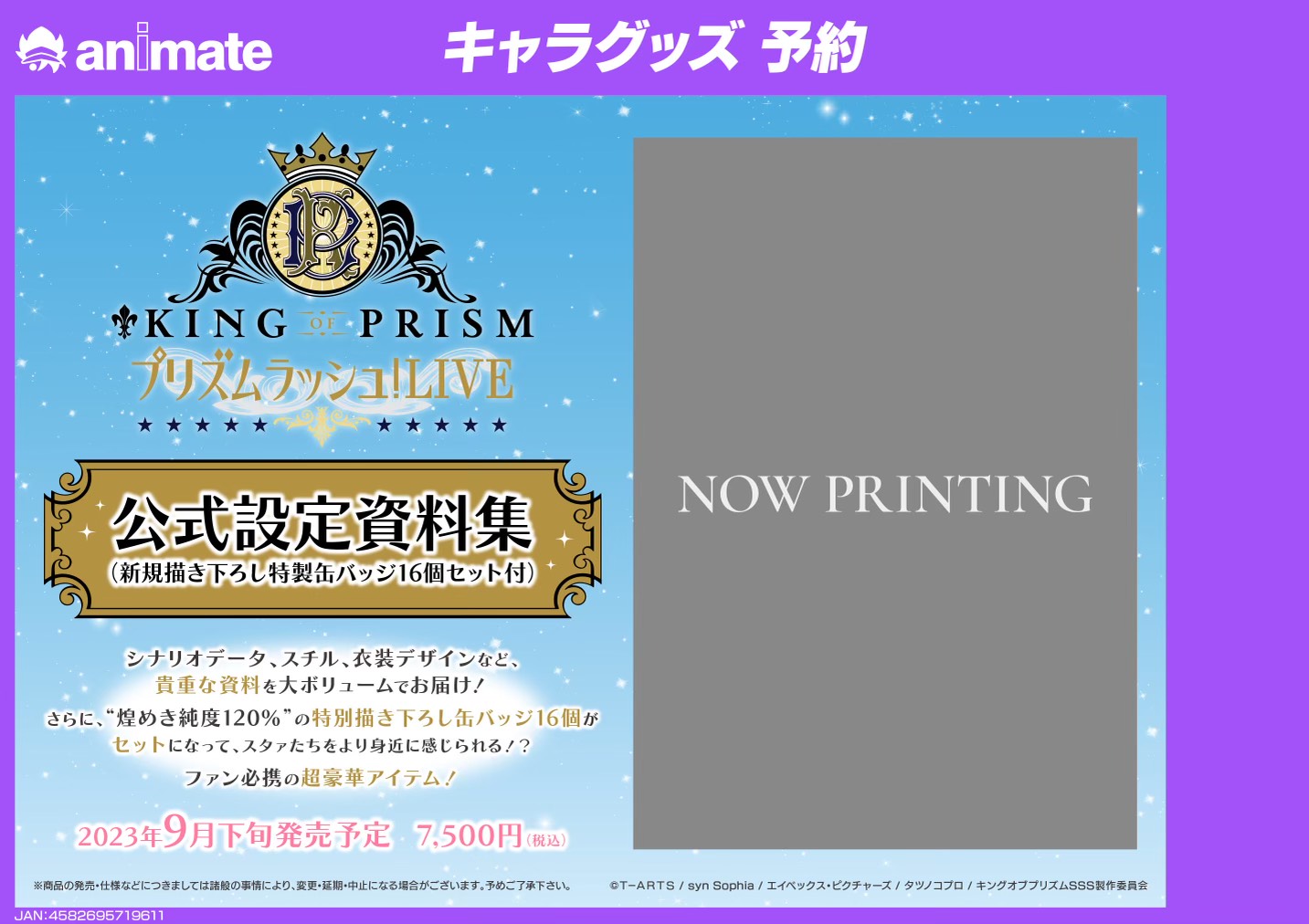 KING OF PRISM プリティーリズム　設定資料集　グッズ　まとめ売り KING OF PRISM by PrettyRhythm 公式設定資料集 (一迅社ブックス