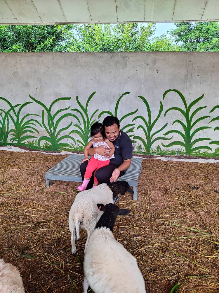 zhariframli's tweet photo. Agro Mini Zoo baru diwujudkan di Projek Agropolitan Pekan, Batu 8 Lepar,Pahang. Orang Pahang moh ler bawak anak2 ke sini. Buka setiap hari sepanjang cuti sekolah. 9 am-5pm. https://t.co/eYEiH0wI2N