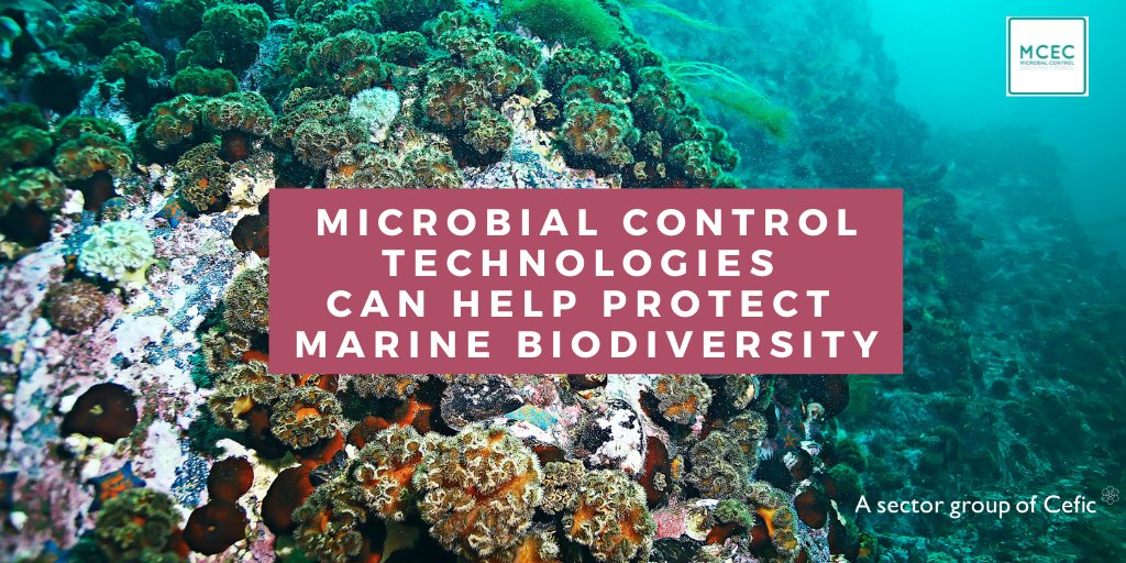 Today is the 50th anniversary of CITES.
#MicrobialControl plays a role in biodiversity protection. Antifouling coatings help prevent organisms from travelling on ship hulls, reducing the translocation of marine species.

Discover more: bit.ly/3dX55J9