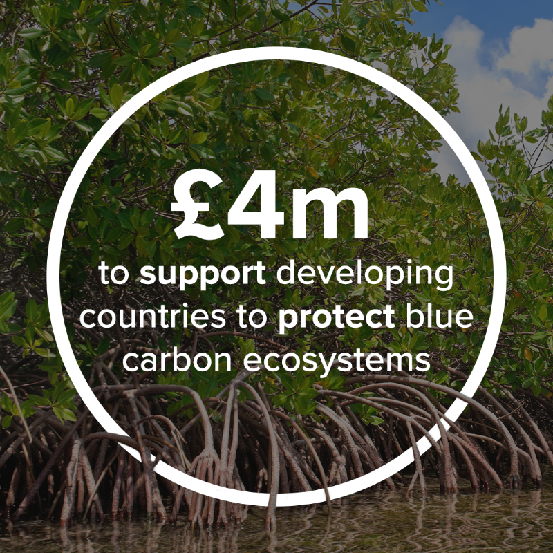 DefraGovUK's tweet photo. We’re marking #WorldWildlifeDay and the 50th anniversary of CITES with three announcements from the #OurOceanConference. 

Our Blue Planet Fund will support sustainable fishing, blue carbon ecosystems and the protection and coral reefs.  

Read more: https://t.co/qhWGtTi2Hj