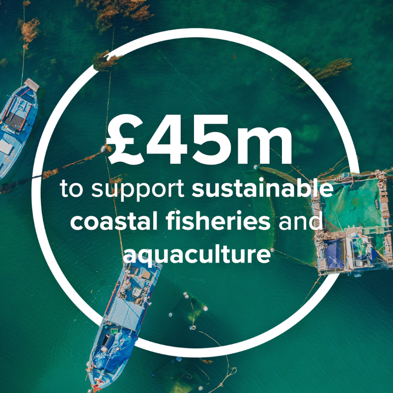 DefraGovUK's tweet photo. We’re marking #WorldWildlifeDay and the 50th anniversary of CITES with three announcements from the #OurOceanConference. 

Our Blue Planet Fund will support sustainable fishing, blue carbon ecosystems and the protection and coral reefs.  

Read more: https://t.co/qhWGtTi2Hj