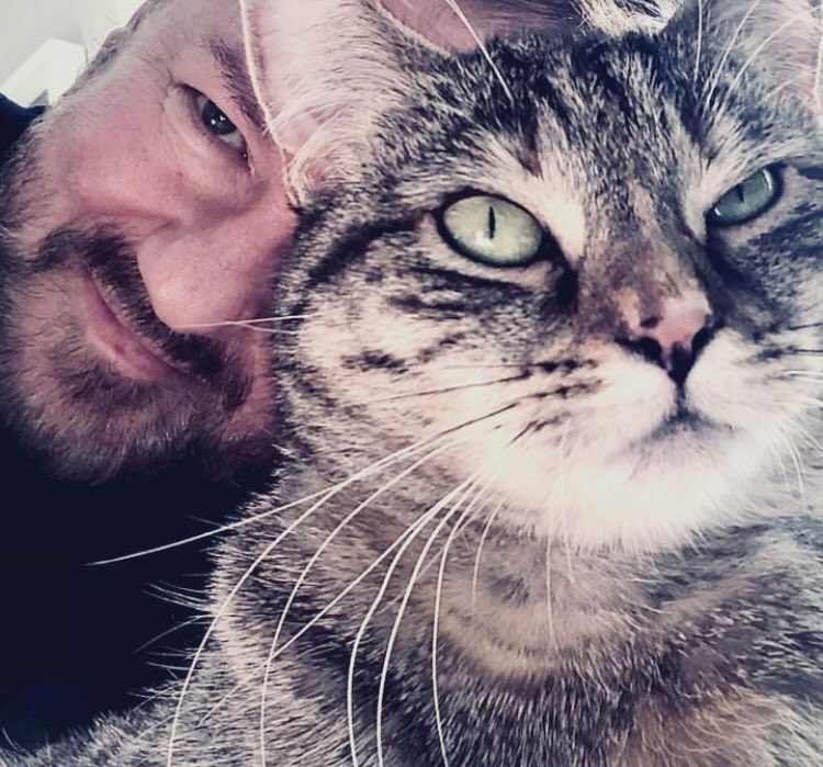 When the cat has a dastardly idea.