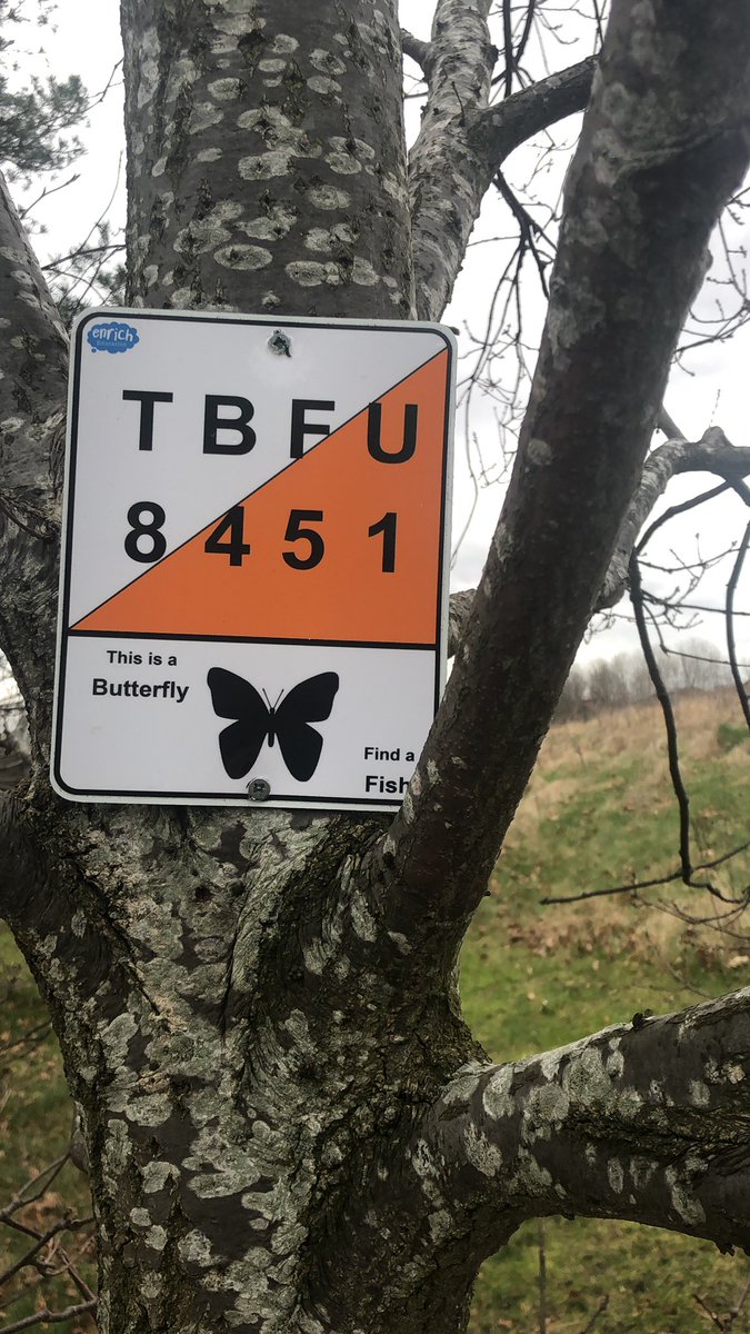 Today my year 8s are round to significant figures so I’m going to use this number and they can make up the question themselves on their whiteboards.  <a href="/enrichedu/">Enrich Education</a> #outdoorlearning #crosscurricular #orienteering #KS3 #mathschat #teaching