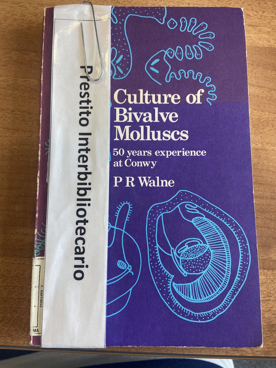 CamiBe90's tweet image. Finally got my hands on this!! Looks like a lot of interesting research inside ! #ostrea #oysters #bivalve @NORA_Europe #MAREA @CaFoscari