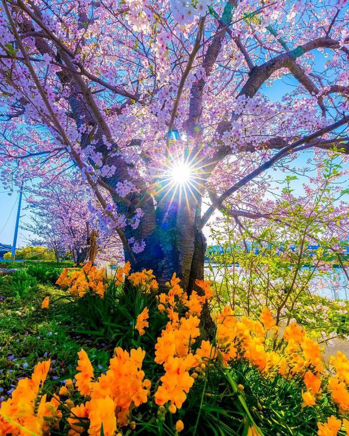 David88_01's tweet photo. #goodmorning #fridaymorning #NaturePhotography #photography https://t.co/mxIequYefi