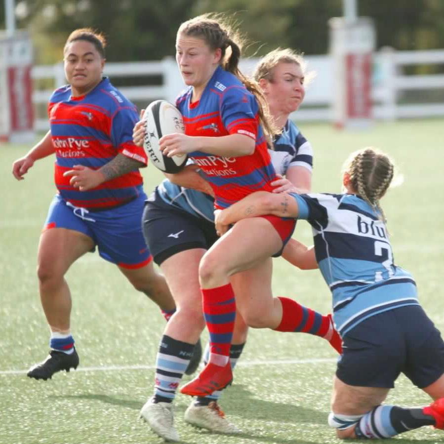 allgoldsrugby's tweet photo. World Wildlife dayโฆ photos of our All Golds/Golden Ferns playing in the wild.๐ธ๐
#AllGolds #GoldenFerns #actionsshots #worldwidlife #unionclubs #wintergames https://t.co/nac7p1uGTu