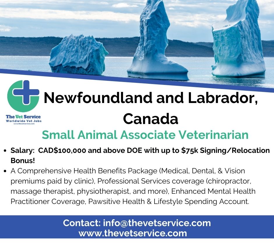 Opportunity for Small Animal Associate Veterinarian in Newfoundland &amp; Labrador, Canada! 🍁🐾

thevetservice.com/veterinary-job…

#thevetservice #vetstudents #vet #veterinarymedicine #veterinarysurgeon #vetlifestyle #vetlife #vetlocum #vetjob #vetjobs