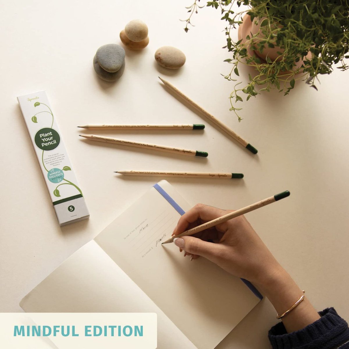 AccUtil's tweet photo. Lápices plantables - Mindful Edition

Pack de 5 lápices de grafito de madera natural | producto ecológico de lápices con frases motivadoras

https://t.co/YfommZuycX

#accesorios #utiles #lapices #ecologico #frases https://t.co/JLe73qqFTE