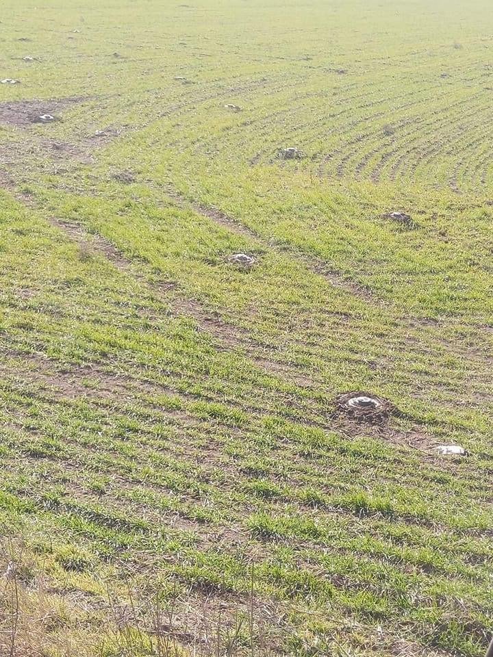 Ukraine's winter #crop condition 2023