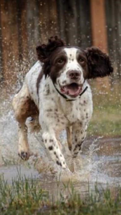 Lancashire Police tweet media