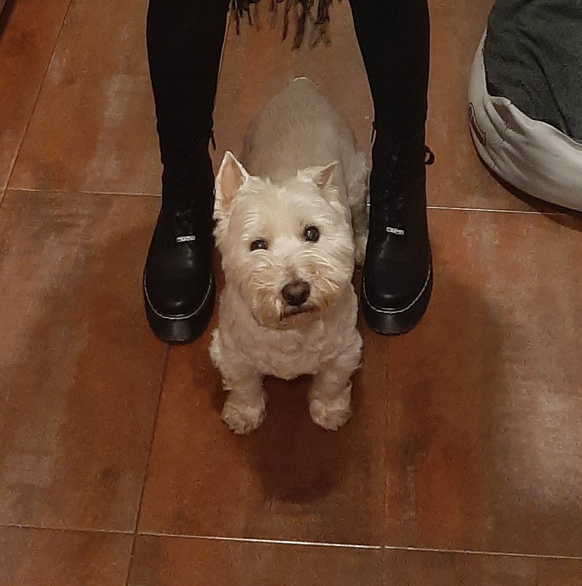 El otro día fui a una de las clases abiertas de <a href="/FactoriaGuion/">Factoría del Guion</a>, recomendadísimas tanto si escribís como si siempre habéis querido saber cómo se trabaja un guión. Bonus point: en la salita donde esperé hay una foto de Hitchcock con mi perro, de su época cinéfila.