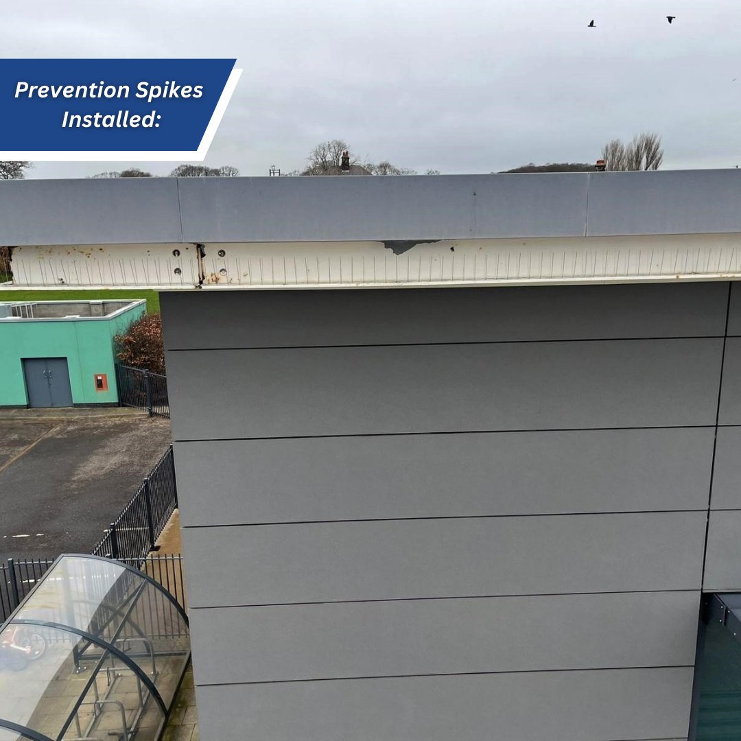 CleanItUK_Group's tweet photo. Recent job completed for our client in Newcastle, Brunton Primary School:

✅Clean to all cladding and brise soleil to remove bird droppings
✅Installation of bird control measures

📞 0191 4565958
📩info@cleanitukgroup.co.uk
or visit our website: https://t.co/9WOc0cNGDM https://t.co/U7JE5Cpnzz