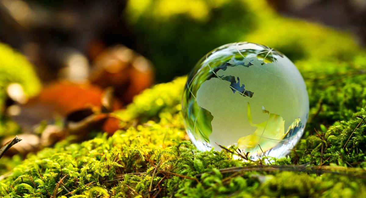 etfeuropa's tweet photo. There is no 🌿 green transition without 👩🏻‍💻 skills! Join GRETA, the ETF’s Network for Excellence to:

✅ share green educational practices

✅ learn about 🖥️ digital innovations 

👉 Read: https://t.co/fY2S9hml7H 

👉 Join GRETA https://t.co/B9yyTHITI0 

#Skills4Future https://t.co/TzsYXJd1Kv