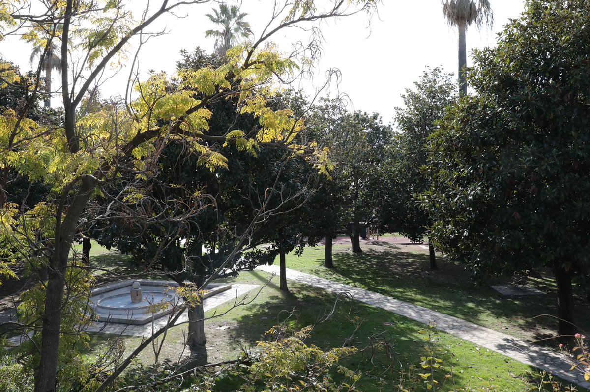 villecannes's tweet photo. đŽ Il sâagit du 31Ăšme jardin rĂ©novĂ© ou créé depuis 2014 dans le cadre du #PlanSquares dĂ©ployĂ© par la #MairieDeCannes (21 rĂ©novations/10 crĂ©ations), visant Ă amĂ©liorer la qualitĂ© de vie des habitants, ajouter de la poĂ©sie dans notre ville et renforcer lâattractivitĂ© de notre citĂ©. https://t.co/R5I1XQ33e6