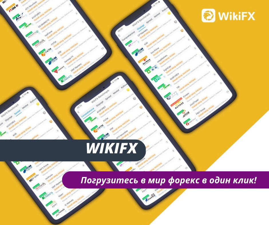 WikiBit~Россия tweet media