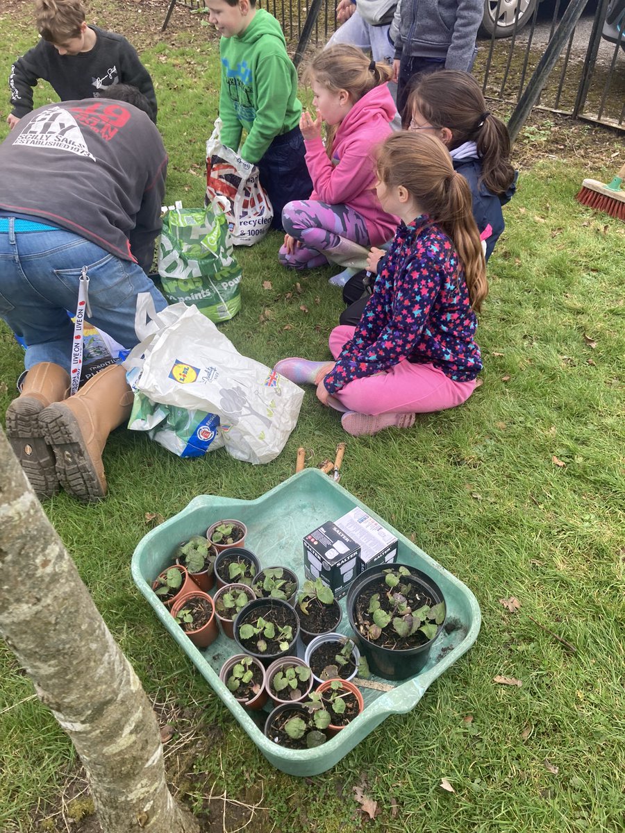 LympshamAcademy's tweet photo. On Tuesday, the Phoenix Class put on their gardening clothes and helped transform the front of the Manor Hall.

We were thrilled to also welcome Mrs Kail-Dyke back to school to plant a tree gifted to her on her retirement last Summer. https://t.co/73AwkvjurM