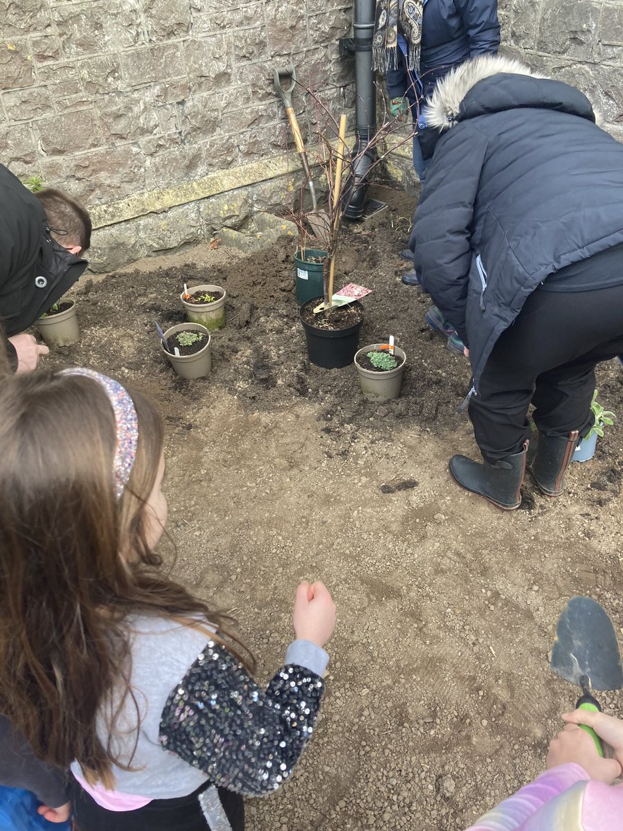 On Tuesday, the Phoenix Class put on their gardening clothes and helped transform the front of the Manor Hall.

We were thrilled to also welcome Mrs Kail-Dyke back to school to plant a tree gifted to her on her retirement last Summer.