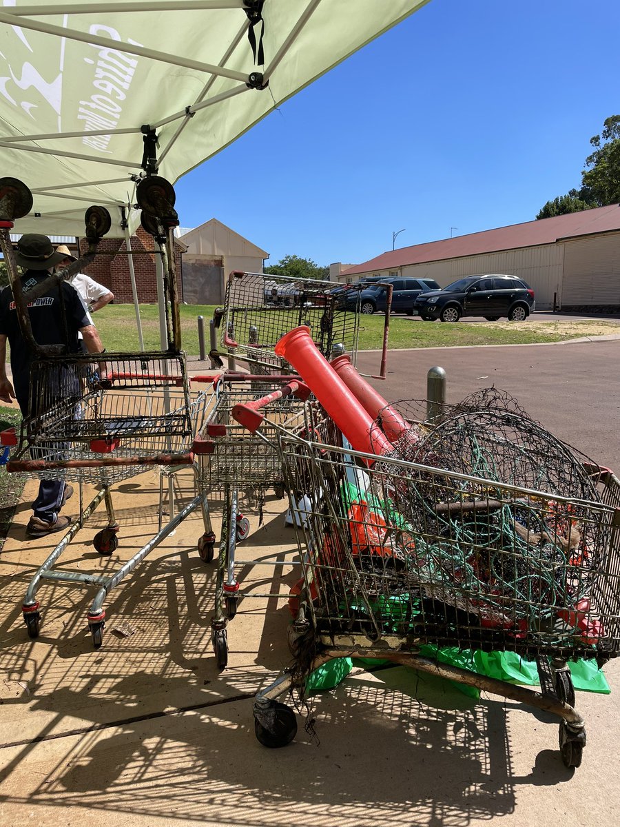 Jesse Rowley (@jesse_rowley5) on Twitter photo Today <a href="/PeelHarveyCC/">PeelHarveyCC</a> Waterways Team together with the <a href="/ShireofMurray/">Shire of Murray</a> stepped up to clean up along the Murray River in Pinjarra, to keep our environment beautiful and our wildlife safe from harmful pollution 🌱💦
#PeopleWorkingTogether #HealingBilya <a href="/AlcoaFoundation/">Alcoa Foundation</a> Today <a href="/PeelHarveyCC/">PeelHarveyCC</a> Waterways Team together with the <a href="/ShireofMurray/">Shire of Murray</a> stepped up to clean up along the Murray River in Pinjarra, to keep our environment beautiful and our wildlife safe from harmful pollution 🌱💦
#PeopleWorkingTogether #HealingBilya <a href="/AlcoaFoundation/">Alcoa Foundation</a>