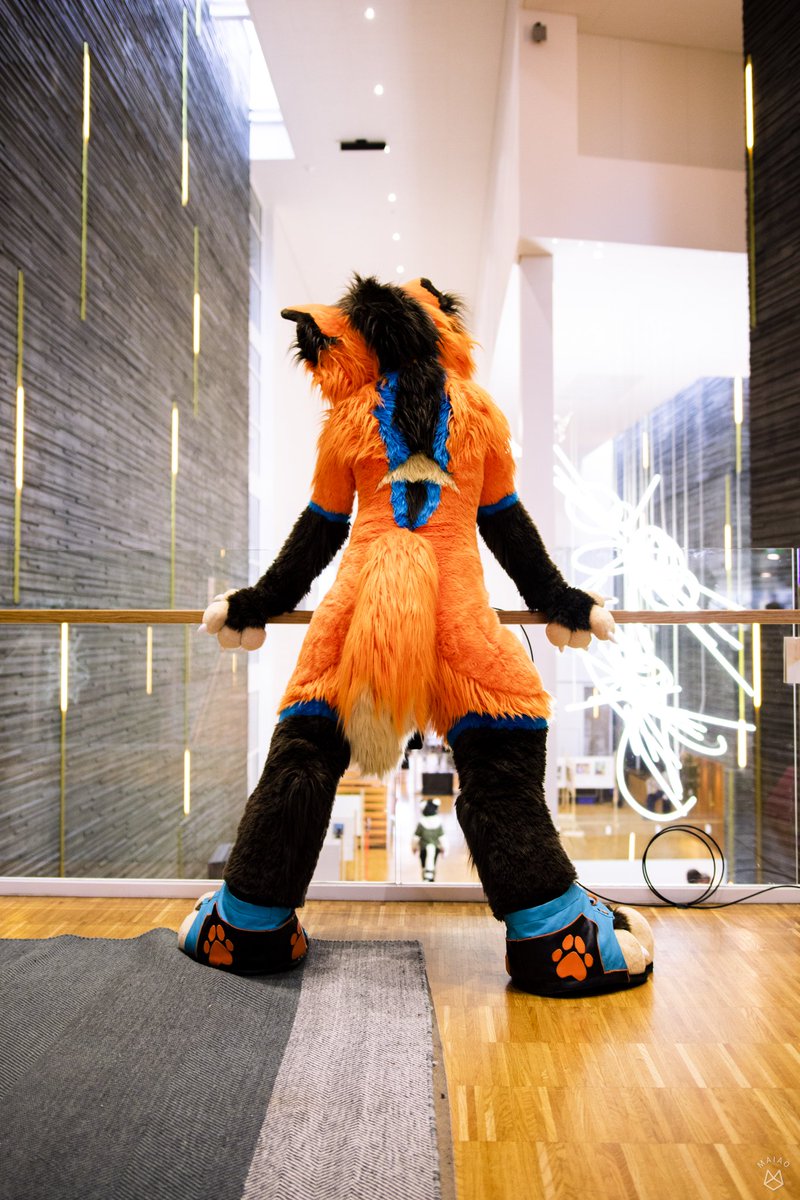 Space_Kalak's tweet image. None of us know what the future holds
We can only learn from the past
Tomorrow is another day
So live in the moment
Here, and now.

#FursuitFriday #NFC2023