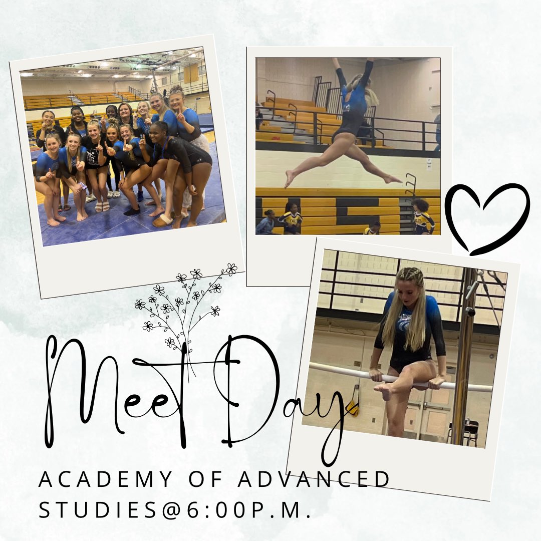 LGHS WILDCATS GYMNASTICS tweet media
