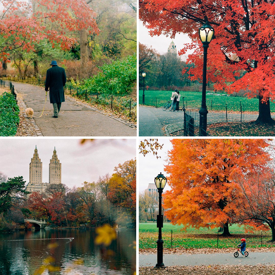 guillermobianchi.eth tweet media