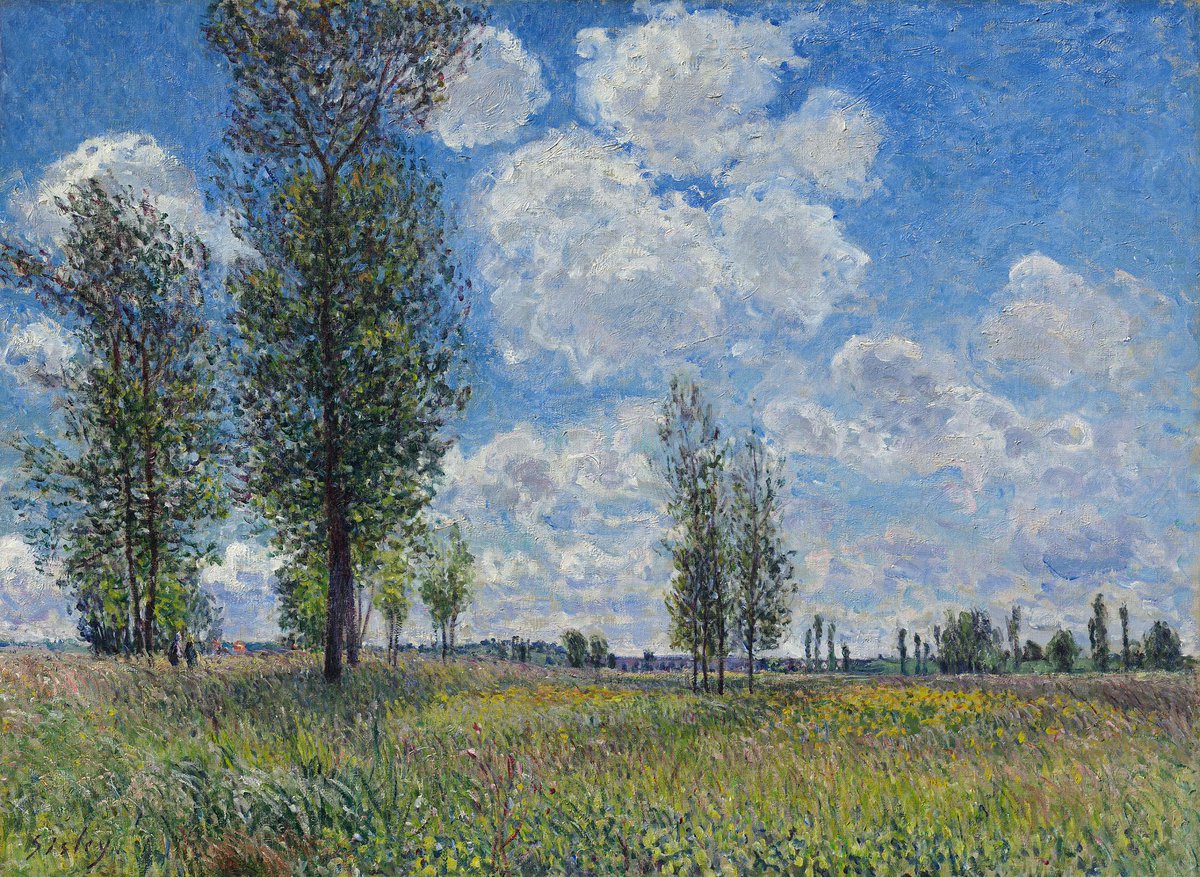 The Meadow at Veneux-Nadon (1881)
Alfred Sisley (1839-1899)

#painting #britishpainter #impressionism

More in: youtu.be/TVfuXew9P88