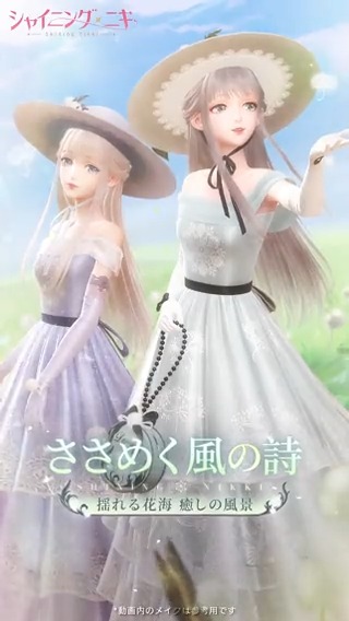 セットコーデ紹介】 カルファ風のチュチュスカートに 軽やかなレース