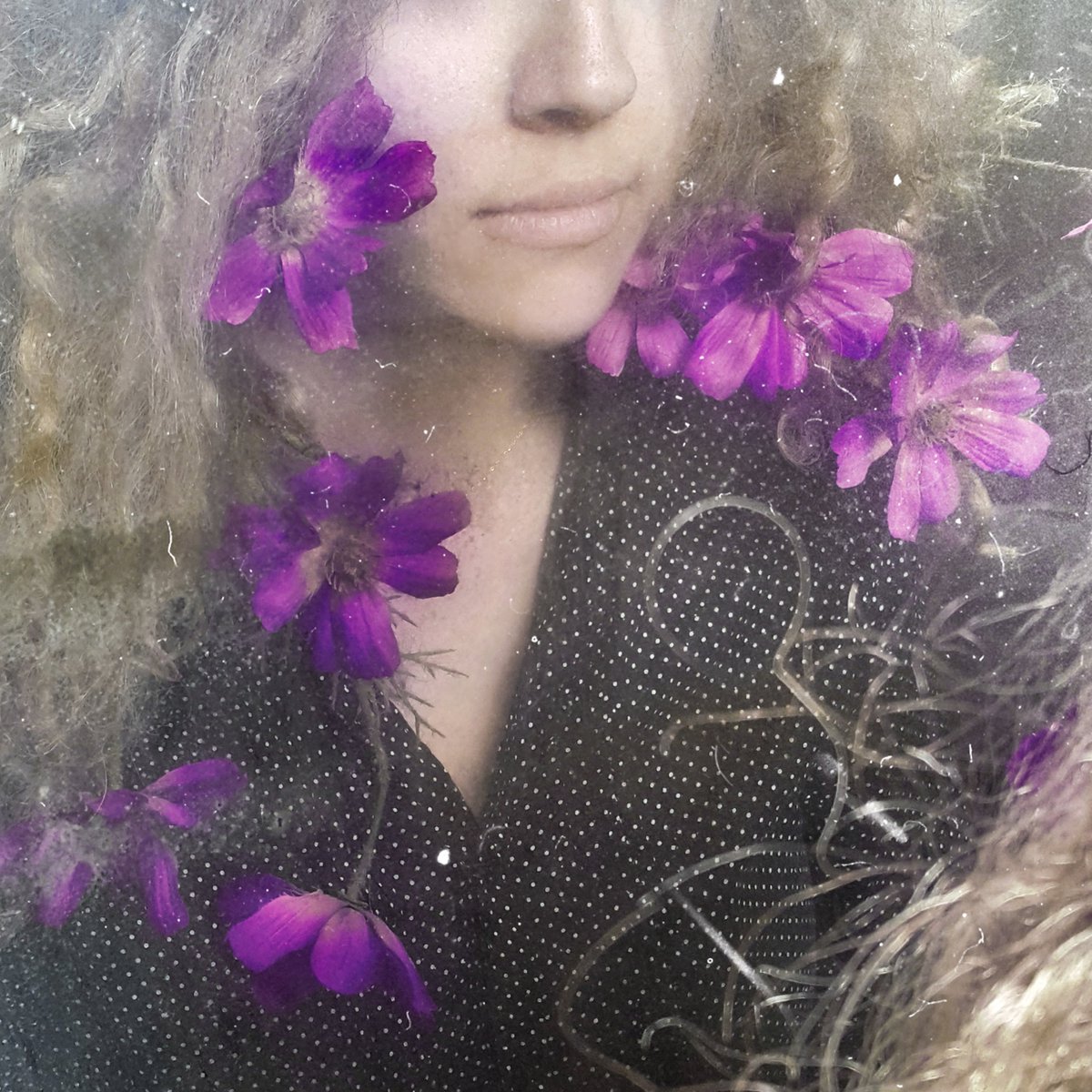 Sallysharifi's tweet photo. Thank you so much dear @animusnft for adding "Flower Elf" to your stunning collection 🫀
I'm so proud for being there 🥲😇
#tezos #tezosart #tezoscollector #tezosArts #flowerelf #portraitphotography #violet #Purple #objktunlocked https://t.co/taDORSRP6T