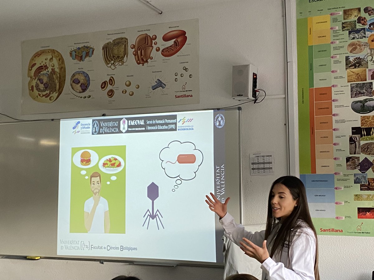 fagoval's tweet photo. Hoy hemos iniciado las primeras sesiones prácticas del proyecto FAGO@VAL_UV en el IES Vicent Andrés Estellés @iesvae para buscar bacteriófagos frente a las superbacterias. Ha sido todo un éxito!!!

@biosca_eg
@UV_EG
@sfpieuv 
@SWIValencia
@SWISpain

#fagoterapia #ciencia https://t.co/i8pXzSjbnS