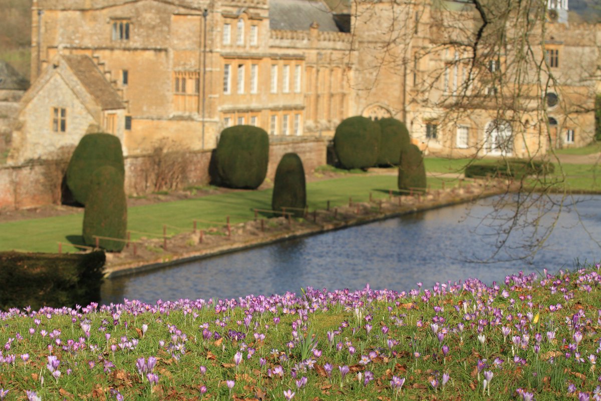 The morning glow and a blushing lawn. Celebrating spring in every shade of purple.