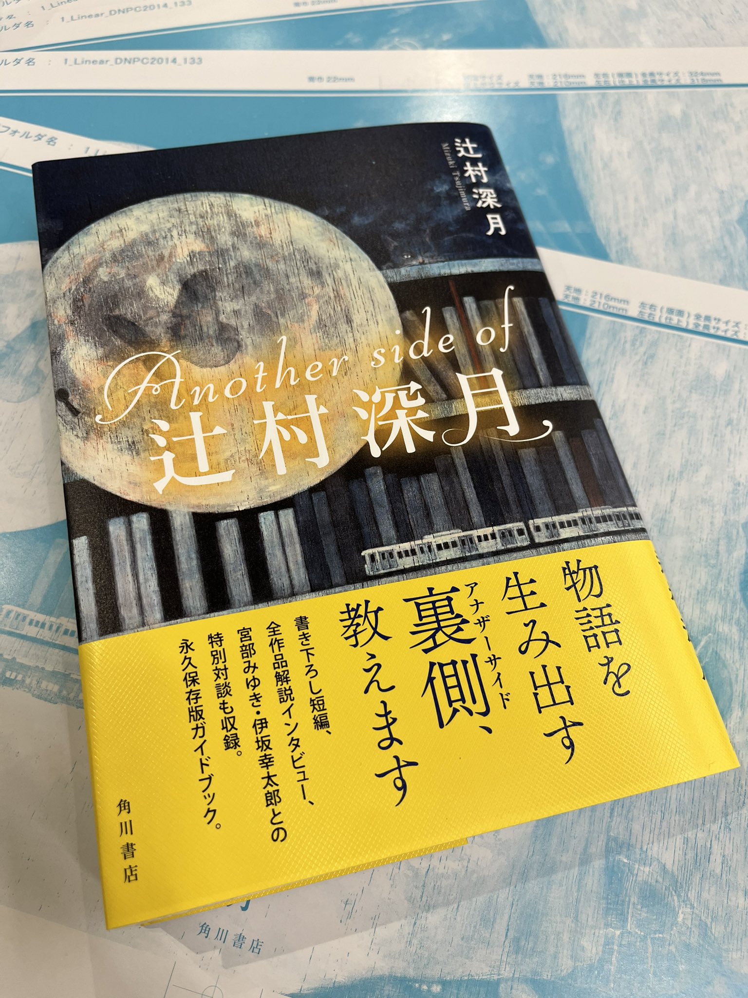 驚きの価格が実現 Another side of 辻村深月 revecap.com