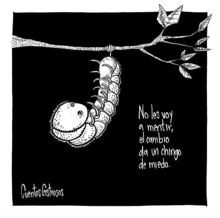 Samary Galván (@samaryg3) on Twitter photo 