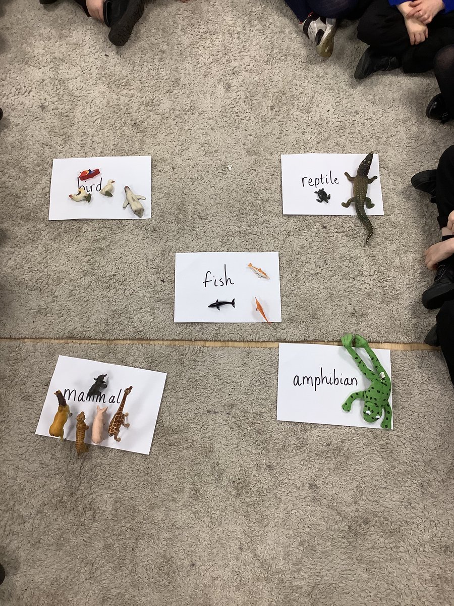 Today we have been investigating the different classifications of animals.