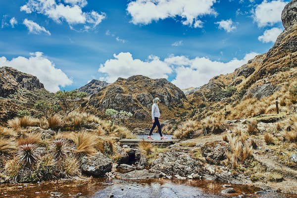 latauk's tweet image. Ecuador offers some of the most incredible outdoor experiences on earth, from surfing on beautiful beaches to treks through the Amazon jungle. 

Wendy Yanagihara has highlighted 16 of the best activities to do in #Ecuador

For more information visit: bit.ly/41weTOu