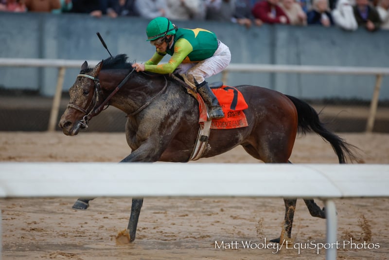 ownahorse's tweet photo. CONFIDENCE GAME; a Bargain yearling with a million-dollar pedigree is on the #RoadtotheRoses, @DTMWStables Kirk Godby joins to talk about his experience and magic of Keith Desormeaux!

Plus @thesaudicup recap, @1st_racing Saturday, AND @OBSSales standouts!
https://t.co/TTTSR3QimP https://t.co/LPnjQby4M2